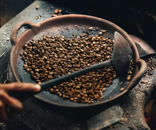 Torréfaction du café